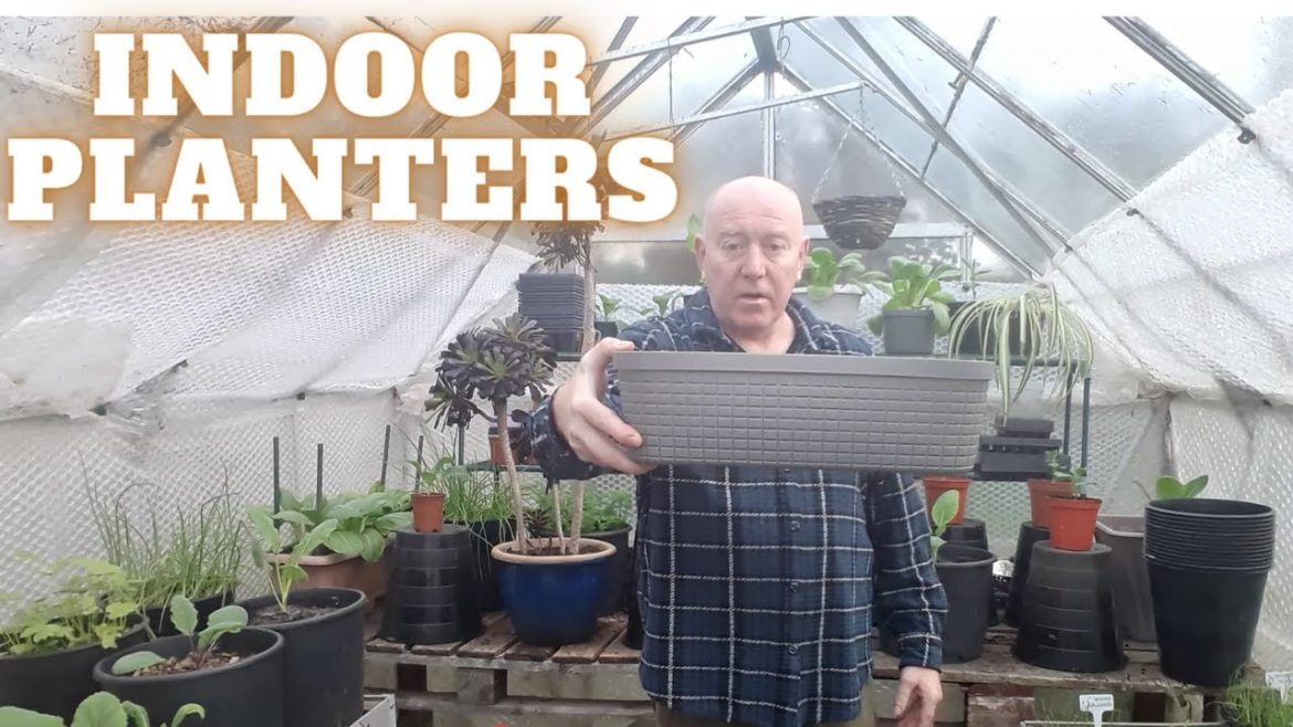 Indoor Planters [Gardening Allotment UK] [Grow Vegetables At Home ]
