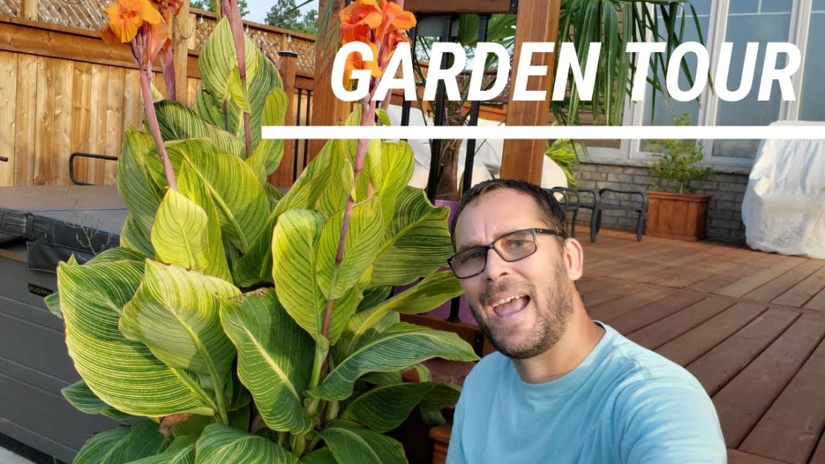 Backyard Garden Tour Aug 2021 Backyard Garden Tour Aug 2021