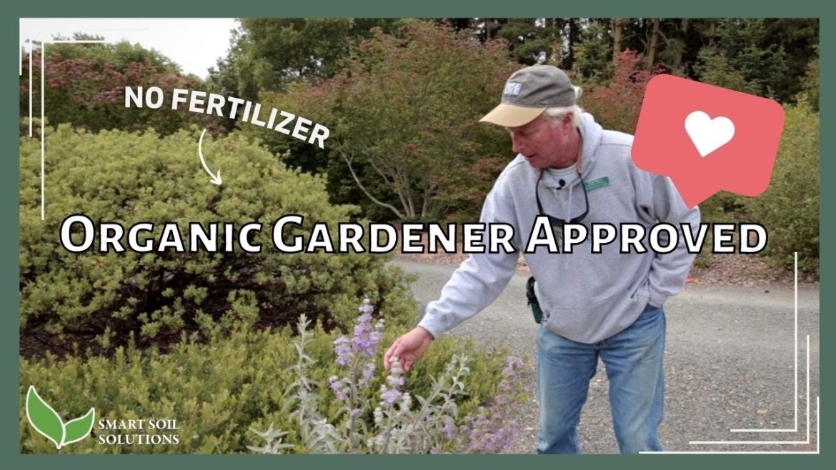 Amend Clay Soil | Expert Gardeners Use THESE Soil Amendments (John & Bob's)