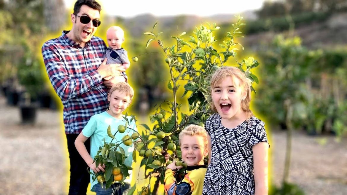 Our NEW Backyard Garden!