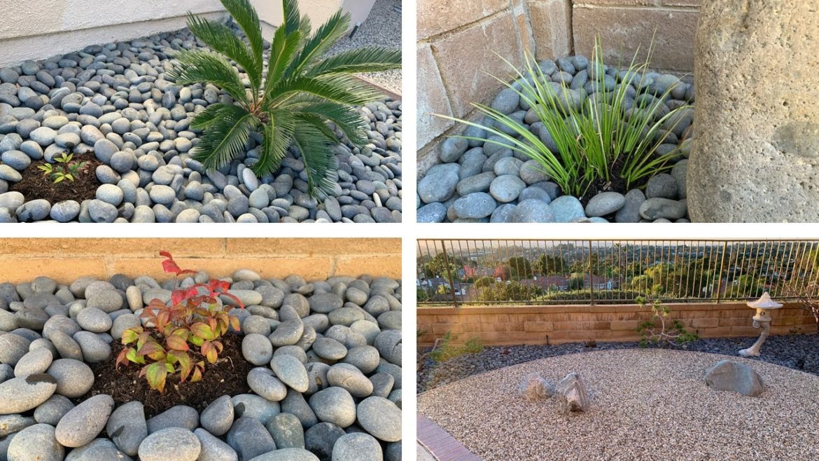 Fall-Winter Planting - Nandina, Aucuba, Sweet Flag, Lucky Grass [Oct-Nov 2022 Garden Updates)