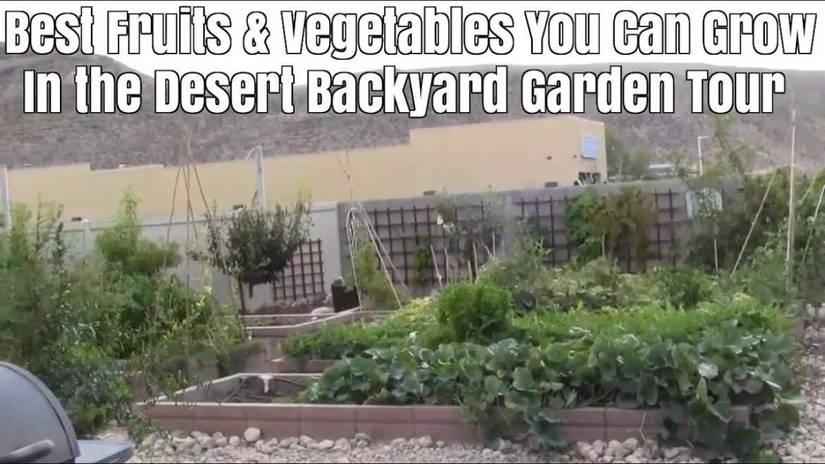 Best Fruits & Vegetables You Can Grow in the Desert Backyard Garden Tour