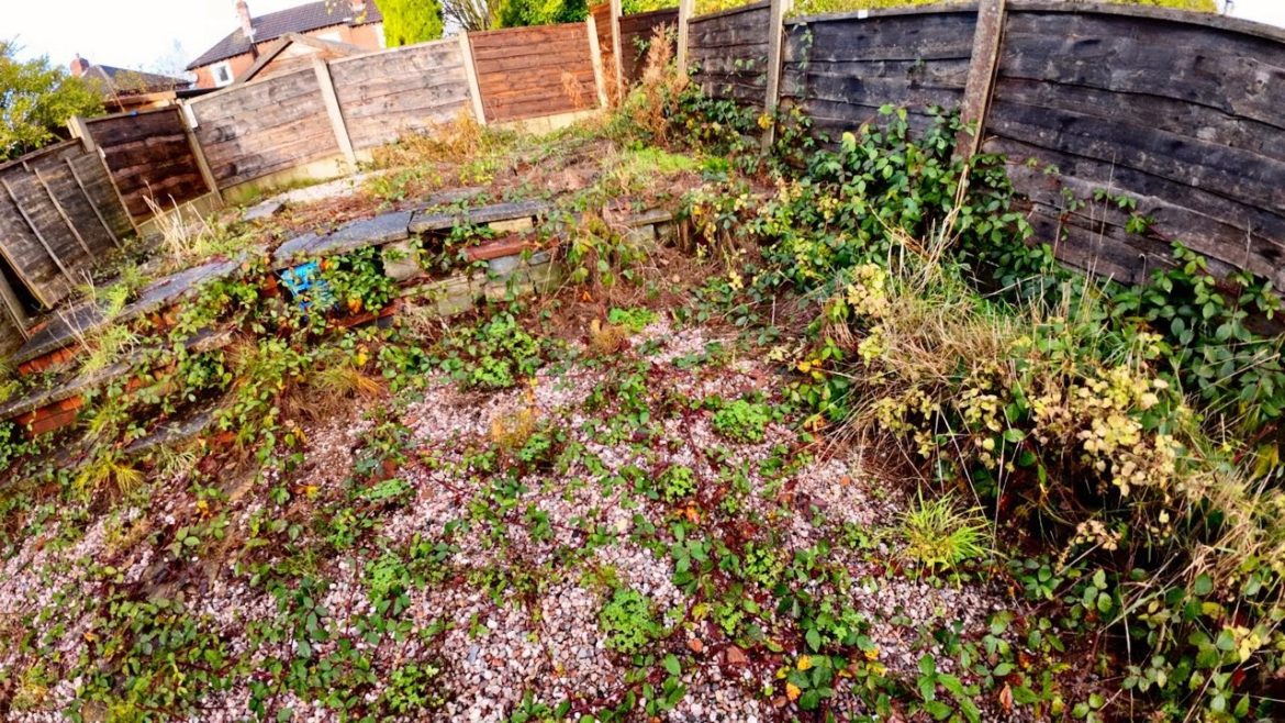 BRAMBLES Took Over Alan's Garden! Travelling 250 Miles For A BIG Clean Up..