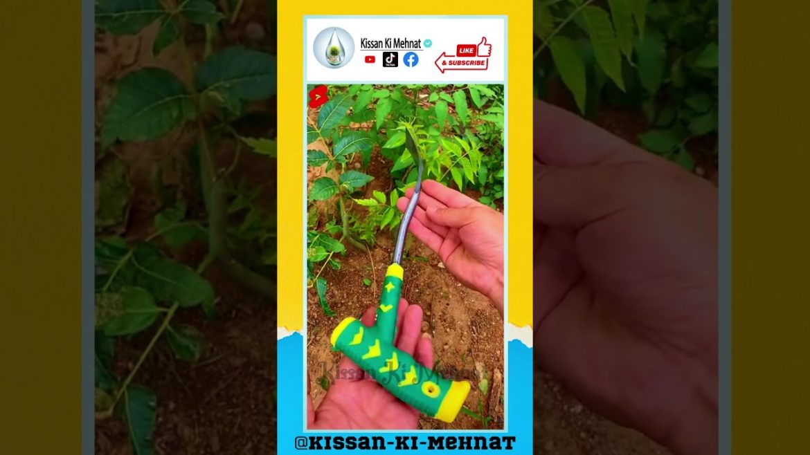 Modern Agriculture  Tools, Gardening Tool, Amazon Products