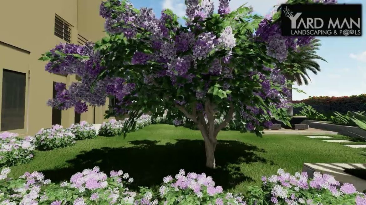 Hottest Trends From the World of Private Villa Swimming Pool Landscape Design