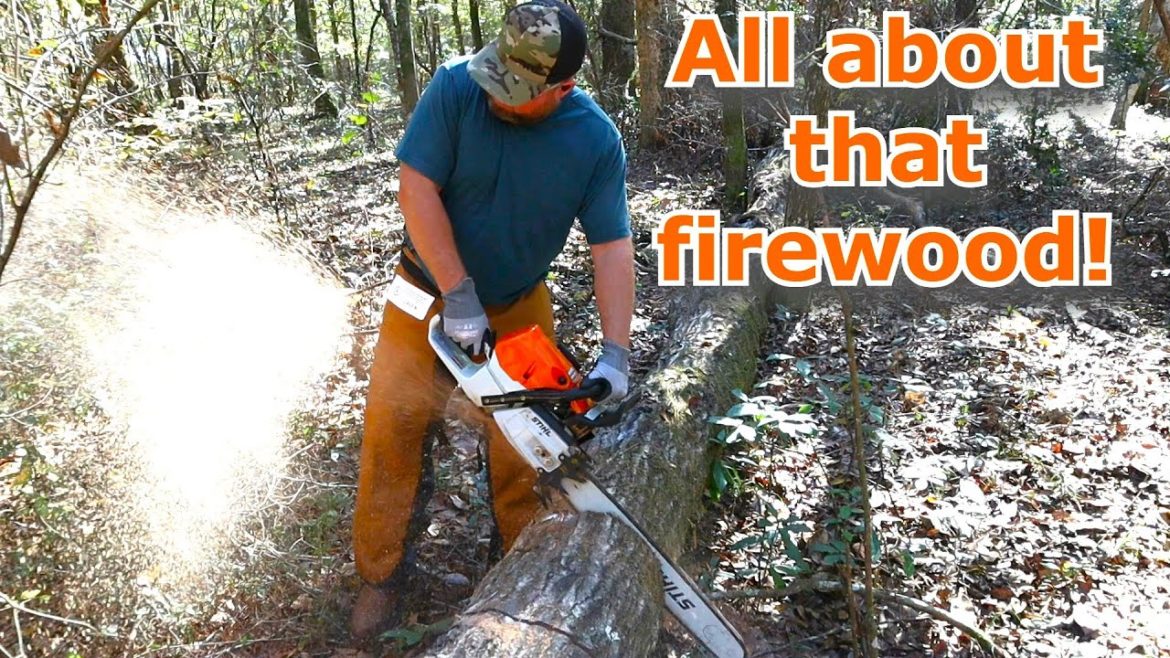 All about firewood! Stihl MS462 #686 All about firewood! Stihl MS462 #686