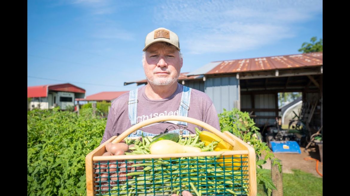 Beginner Gardening Tips From an Ole Man!