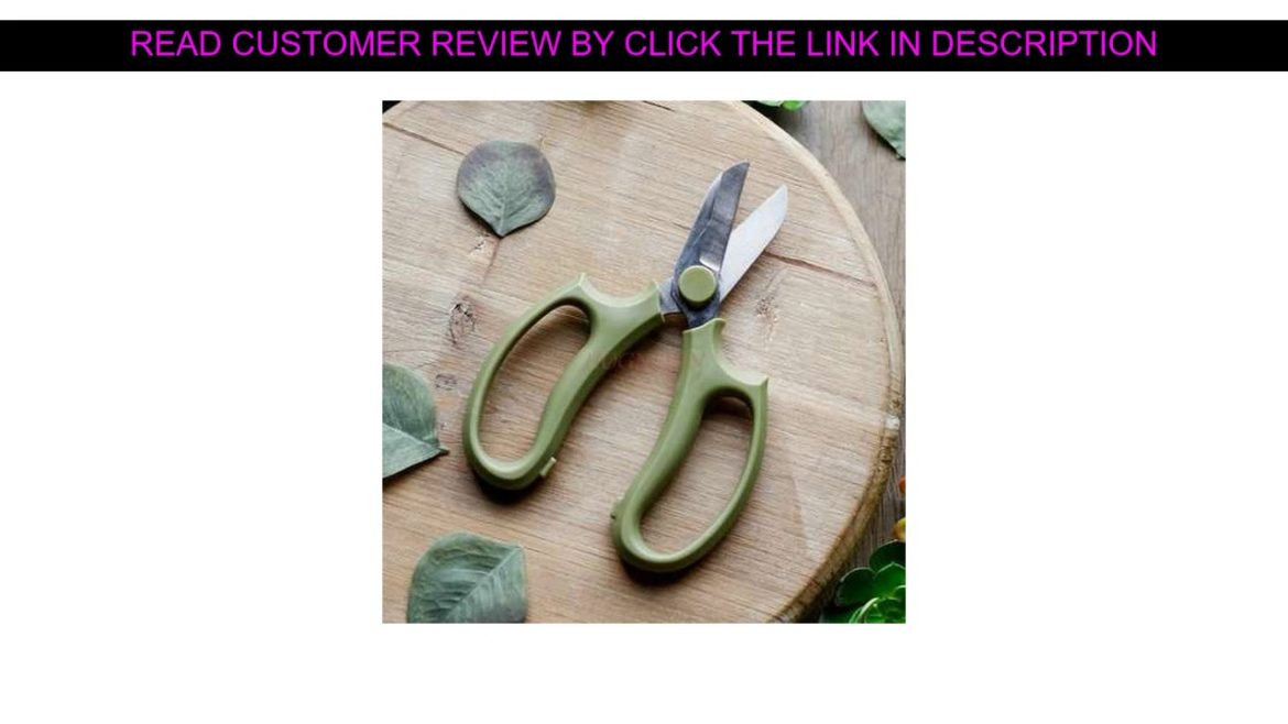✨ Promo Flower shop flower scissors flower arrangement special pruning shears florist gardening sci