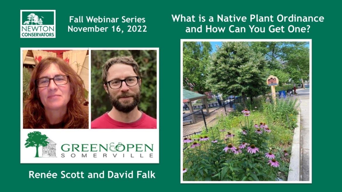 What is a Native Plant Ordinance and How You Can Get One? What is a Native Plant Ordinance and How You Can Get One?
