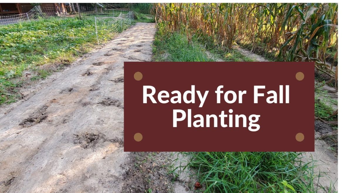 Ground Cover – Gardening Tips – Getting Ready for Fall Planting Ground Cover - Gardening Tips - Getting Ready for Fall Planting