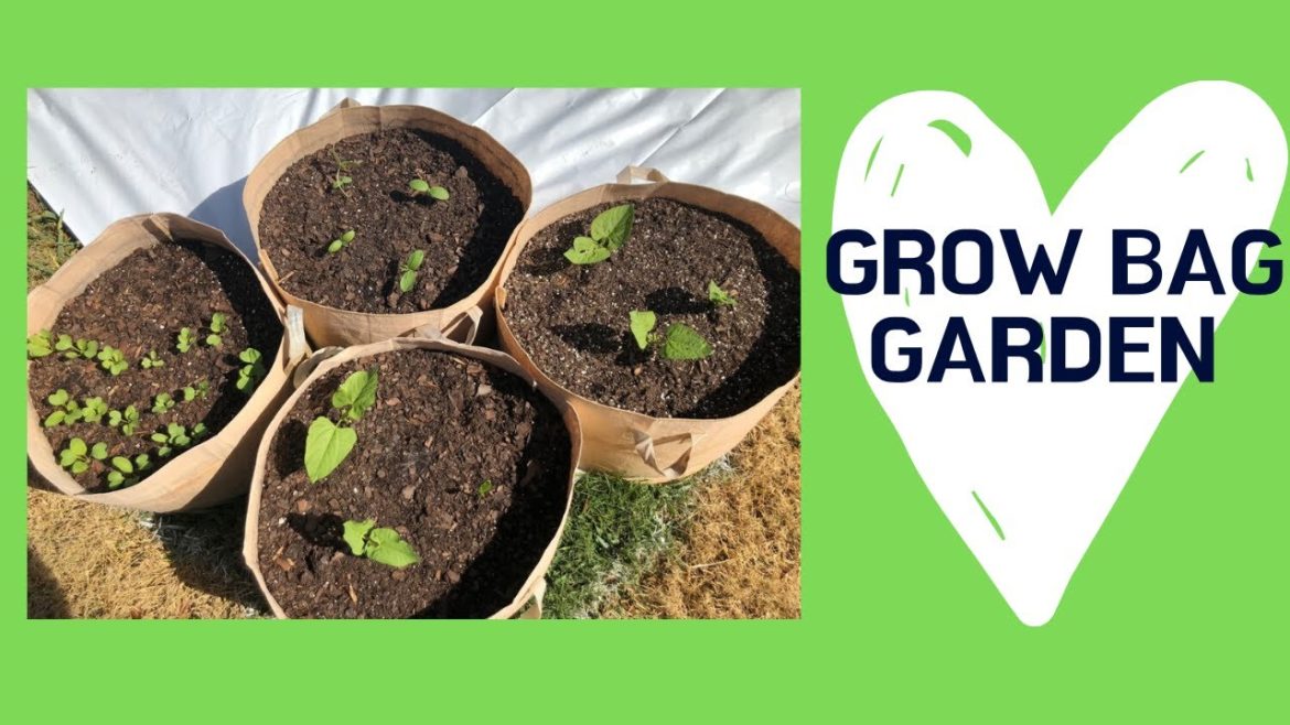 Grow Bag Garden in My Backyard Garden - Container Gardening in Grow Bags for Vegetables, Seedlings.