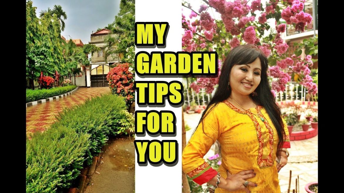8 gardening tips