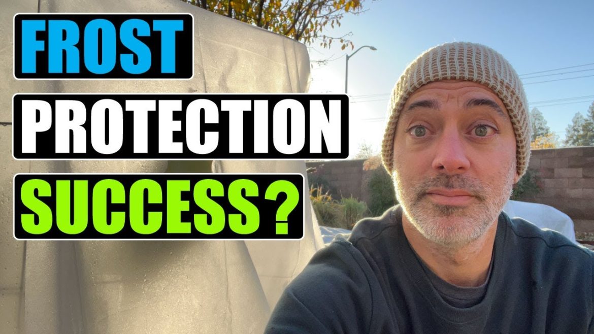 Did The Frost Protection Covers Work?