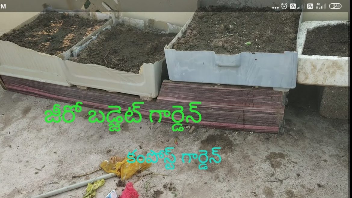 zero budget garden, #compost #refridgerator garden #lightweight #birdsounds