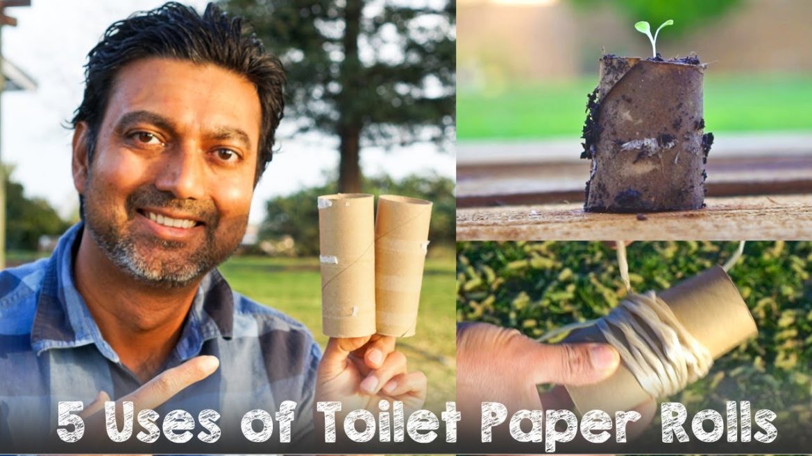 NEVER Throw Away Toilet Paper Rolls | 5 Uses in Gardening NEVER Throw Away Toilet Paper Rolls | 5 Uses in Gardening