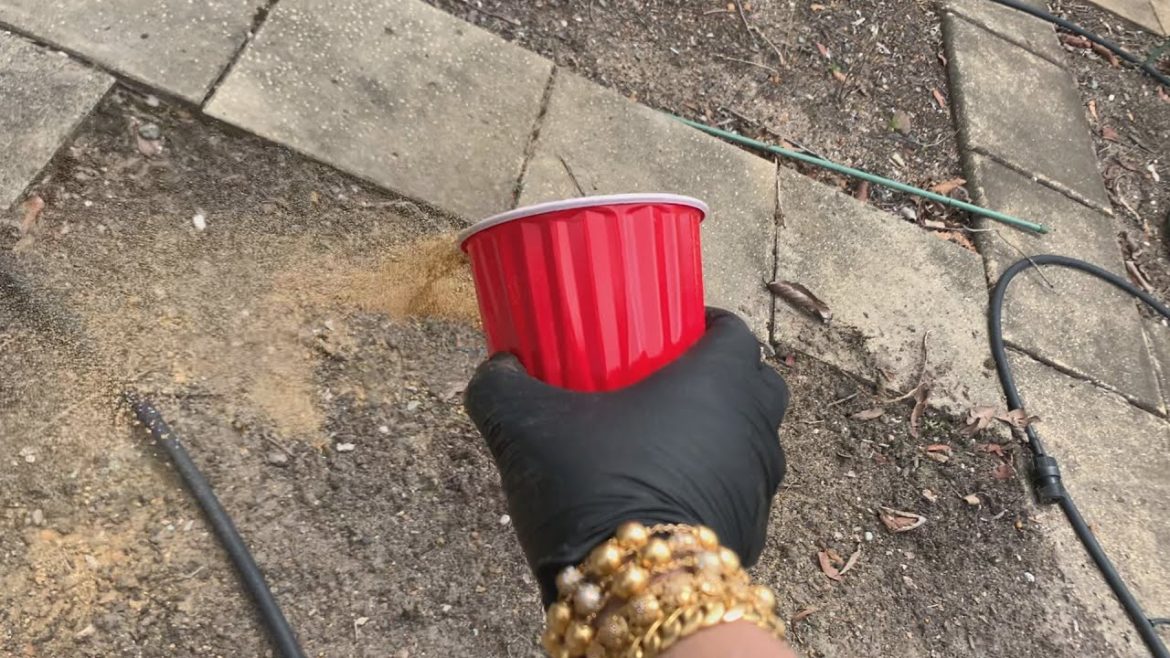 " Planting Dhanya & Gardening Tips " Bajias Cooking