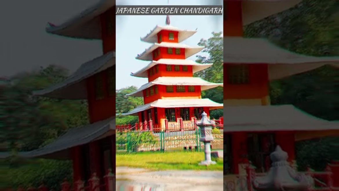 Japanese Garden Chandigarh: A Majestic View #shorts #viral #ytshorts