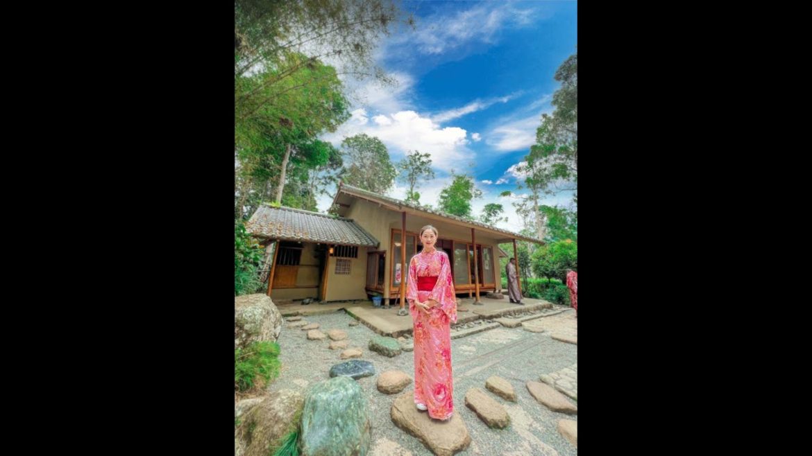 A Tour of the 1st Japanese Village in the Tropical Rainforest! #shorts A Tour of the 1st Japanese Village in the Tropical Rainforest! #shorts