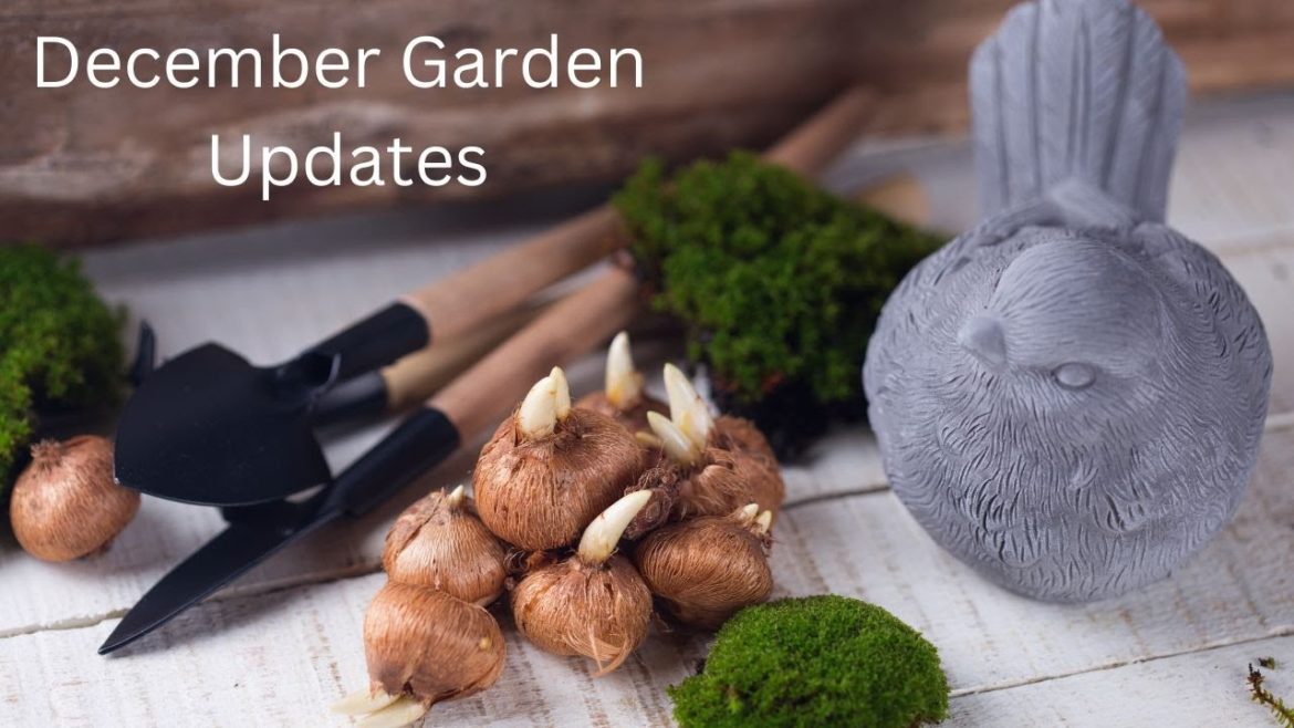 Moving Garden Indoors | Planting Spring Bulbs