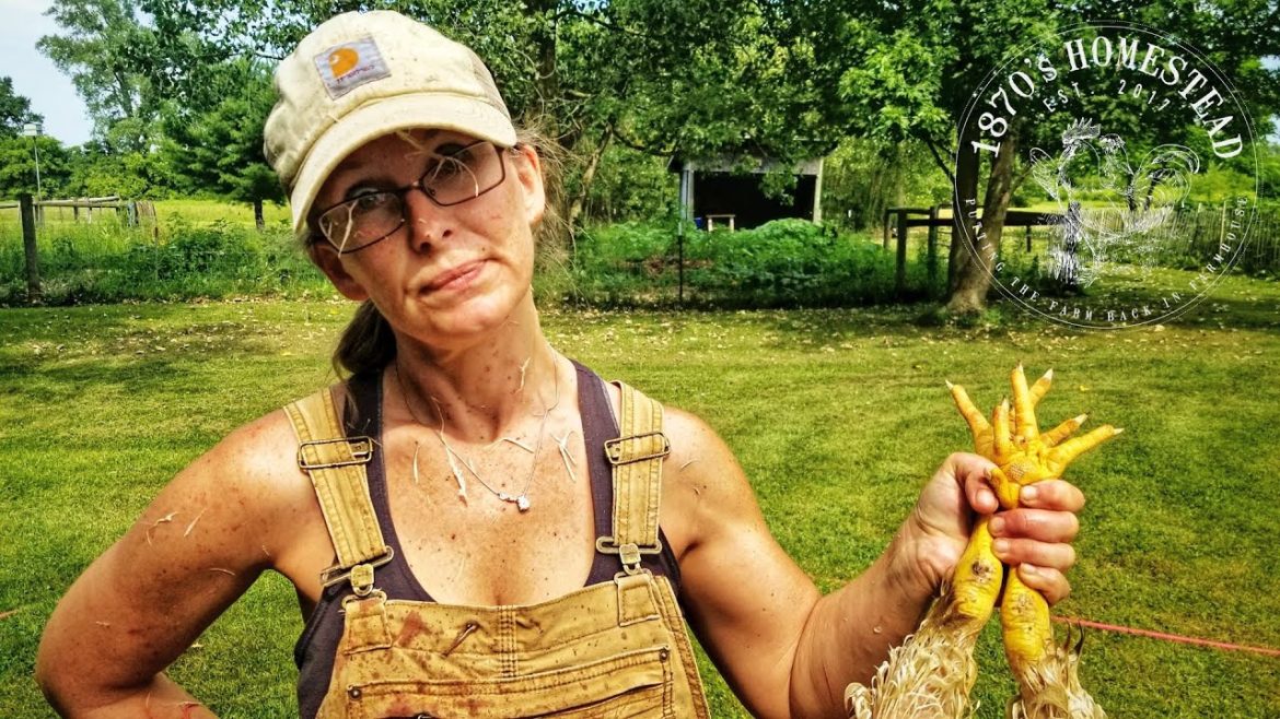 Homestead Economics 101 : Affordability Raising Meat