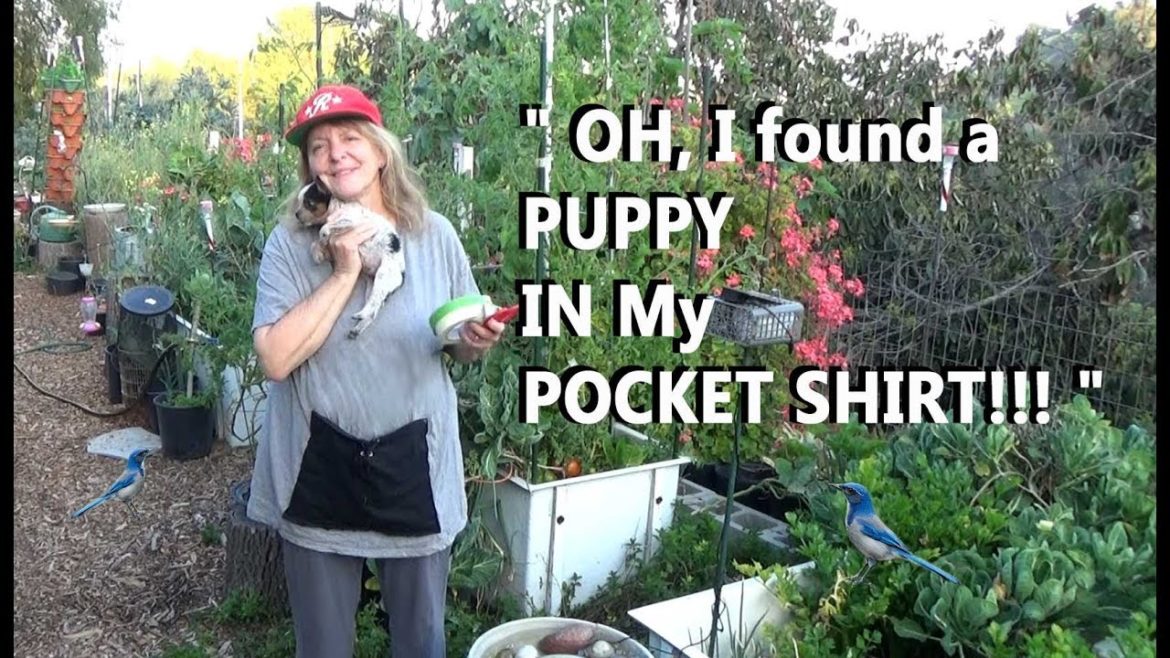DIY Easy HUGE POCKET Shirt GARDEN Carry ALL Everything Seeds Planting Supplies Pets Dog Food