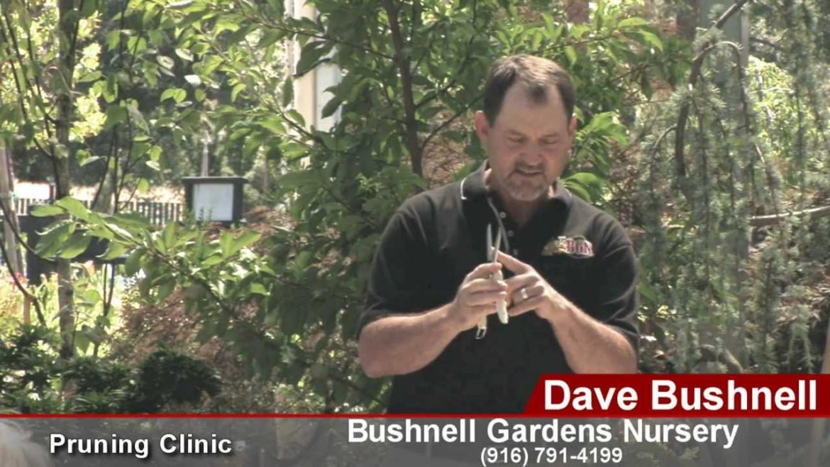 Bushnell Landscape Pruning Workshop with ARS Tools - Part 1