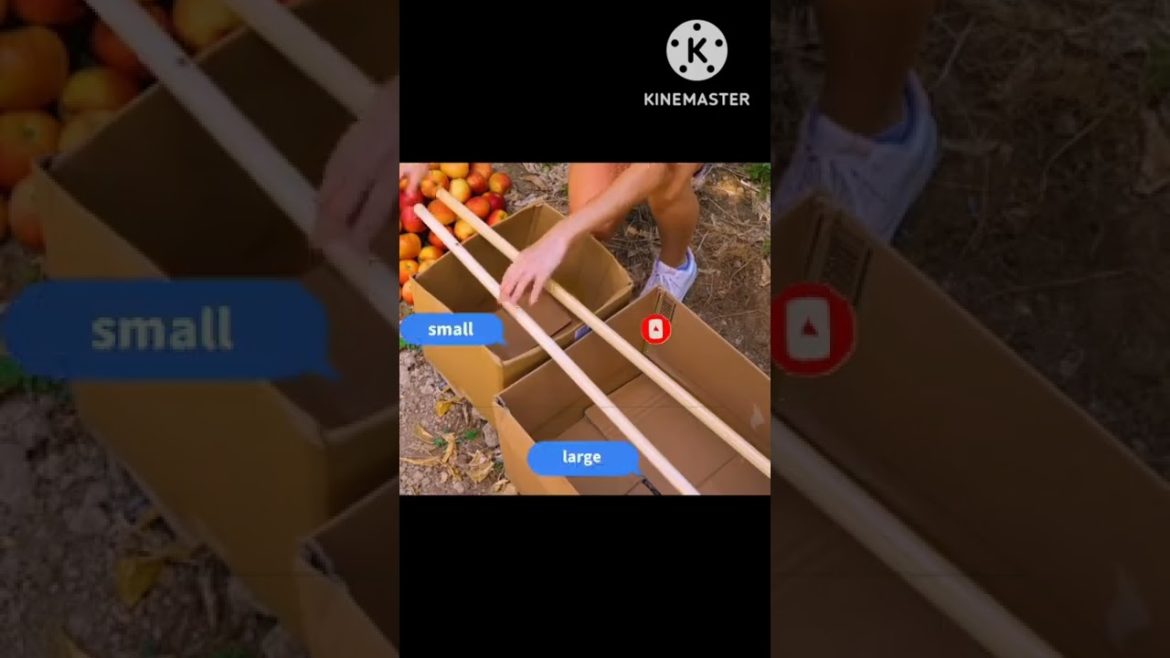 Great Tips For Home Garden Farmers /Agriculture Farming / ගෙවතු වගාව #homegarden #tips #farming