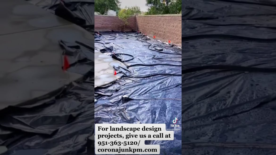 Backyard transformation #landscapedesign  #landscape