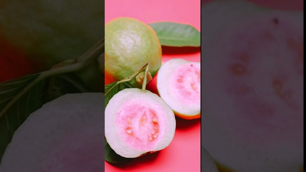 PINK GUAVA PLANT/TANAMAN JAMBU MERAH MUDA .#shorts#agriculture #pinkguava