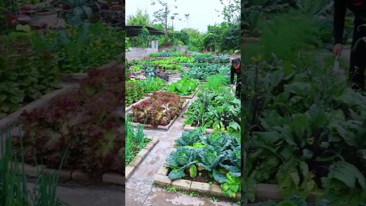 Beautiful Nature with Rural Life #shorts #naturalife #rurallife