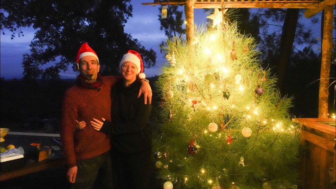 Christmas OFF GRID and getting ready for a HARSH Winter Christmas OFF GRID and getting ready for a HARSH Winter