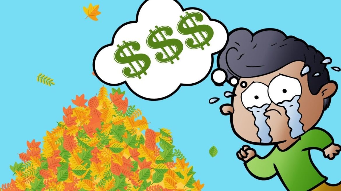 FALL Gardening Tips to SAVE you TIME and MONEY