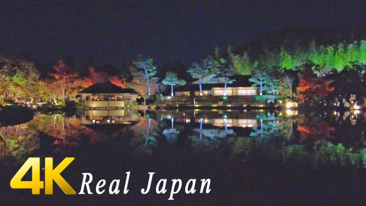 Japan - Autumn Night Light up at Japanese Garden - Ambience ASMR 4K
