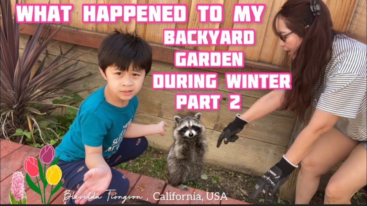 WHAT HAPPENED TO MY BACKYARD GARDEN DURING WINTER // TIME TO REHAB PART 2   #cleaningvideo