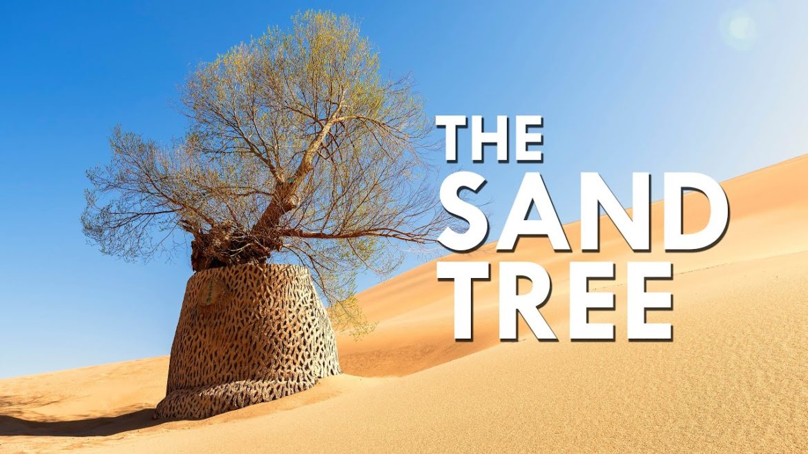 This Tree Thrives In The Desert
