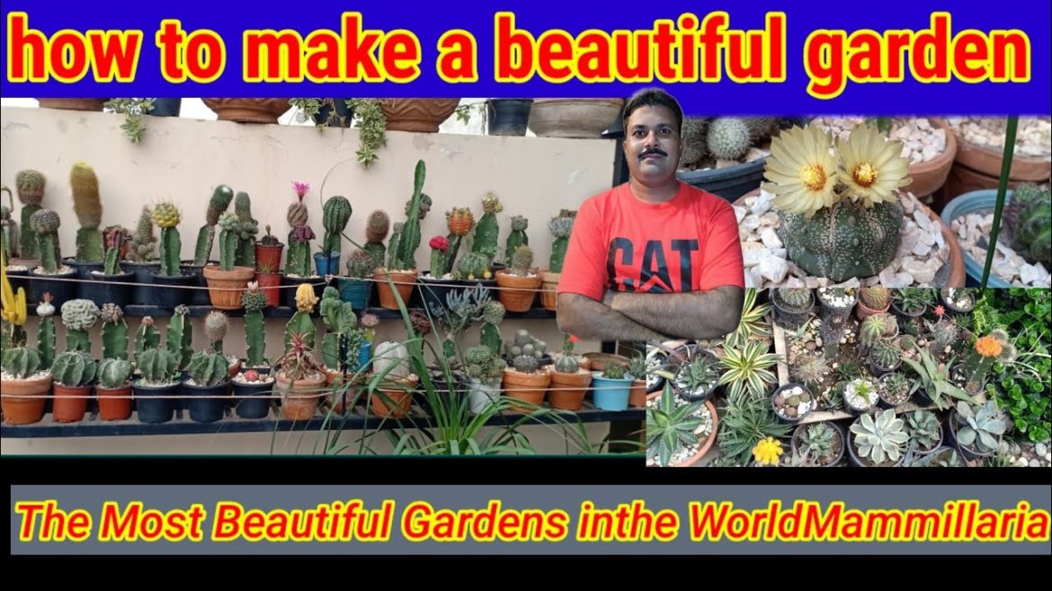 The Most Beautiful Gardens inthe WorldMammillaria|Collection|howGot myEchinobivia toFlower |bloom