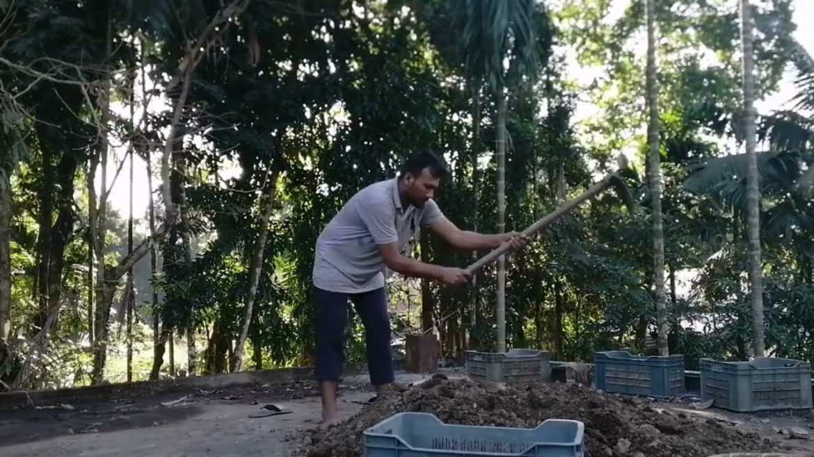 ছাদ বাগানের প্রস্তুতি ২য় পর্ব | Episode-2 preparation for rooftop garden | Gardening Tips /Gardening