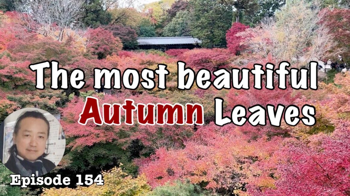Autumn leaves of Tofukuji temple and avant-garde Zen garden [Deep Japan] 東福寺