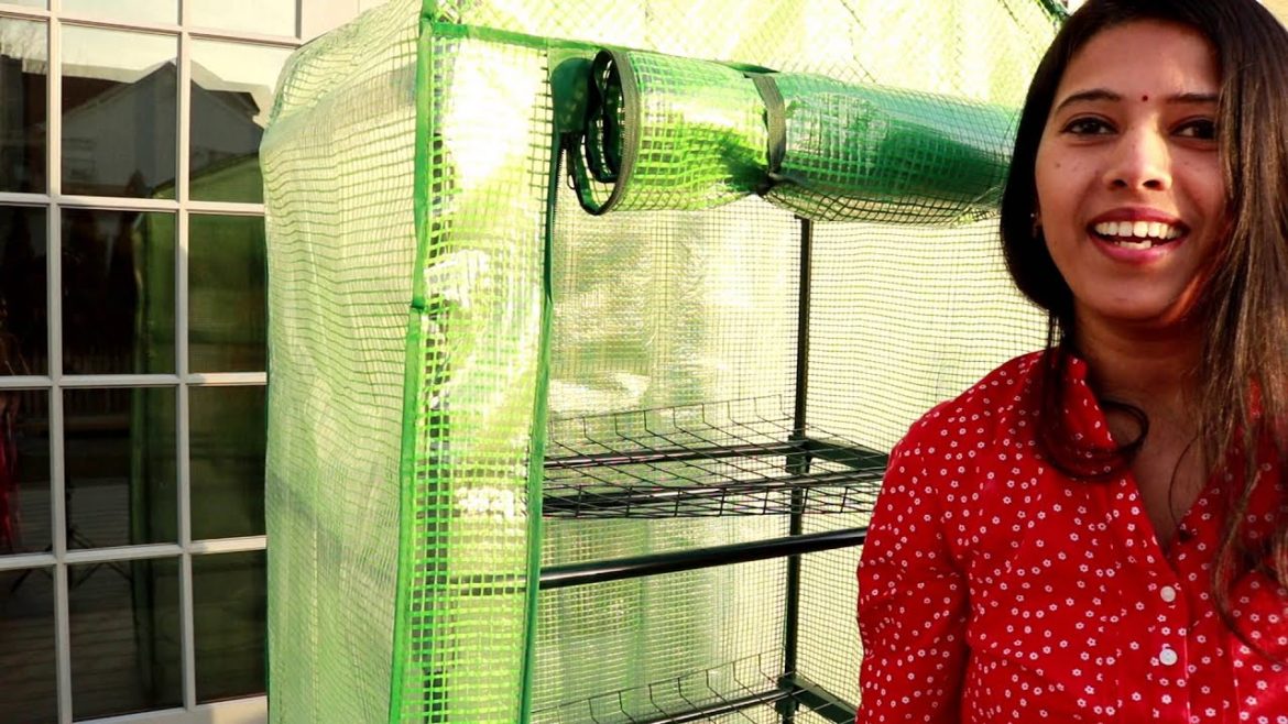 Setting up 4 Tier Mini Greenhouse | Backyard Garden Highlights