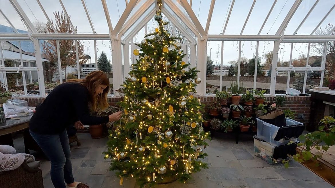 Garden Answer: Decorating a Christmas Tree in the Hartley! 🎄🥰🎄// Garden Answer Decorating a Christmas Tree in the Hartley! 🎄🥰🎄// Garden Answer