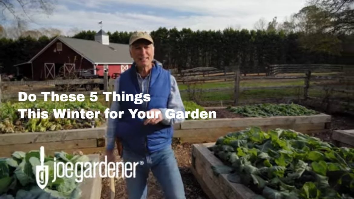 Work On Your Garden in Winter for a Successful Spring