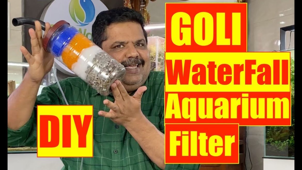 GOLI Water Fall Aquarium filter | DIY Home Made Aquarium Filter | Mayur Dev Aquascaper | Low Cost 4K