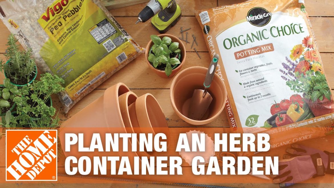 How To Plant an Herb Container Garden | The Home Depot How To Plant an Herb Container Garden | The Home Depot
