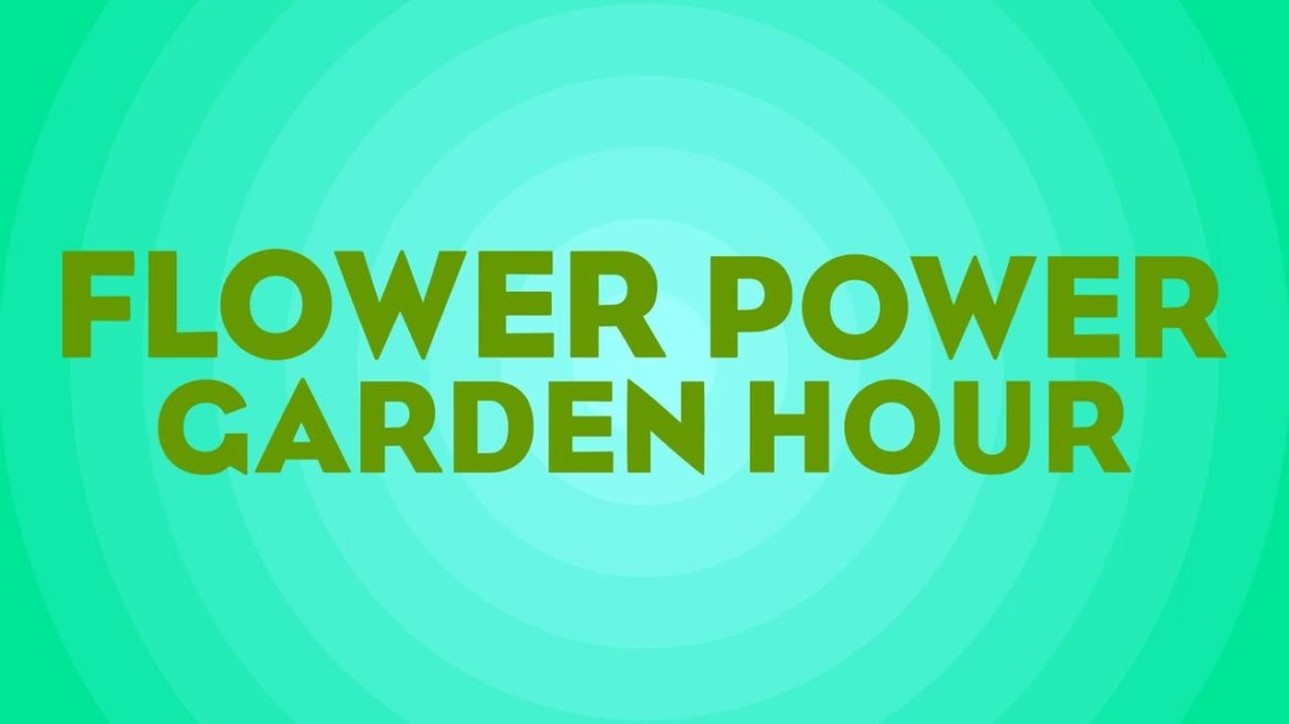Flower Power Garden Hour 165: San Francisco Conservatory of Flowers, with Kristen Natoli &… Flower Power Garden Hour 165: San Francisco Conservatory of Flowers, with Kristen Natoli &...