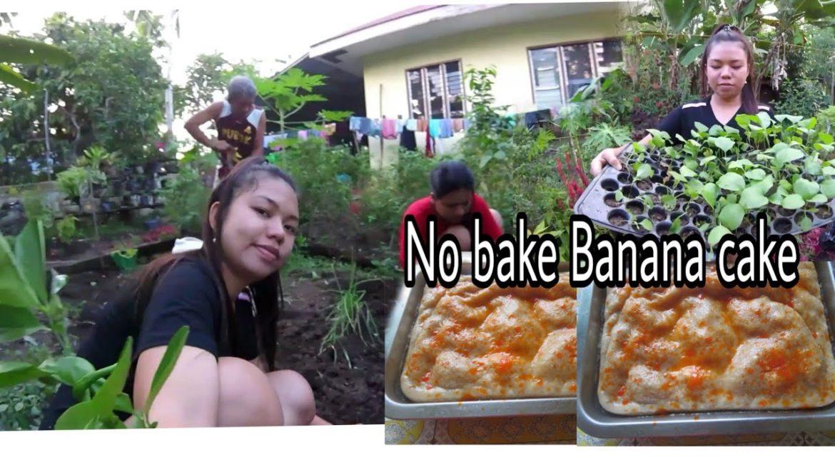 No Bake Banana Cake & Planting Eggplant In Our Backyard Garden