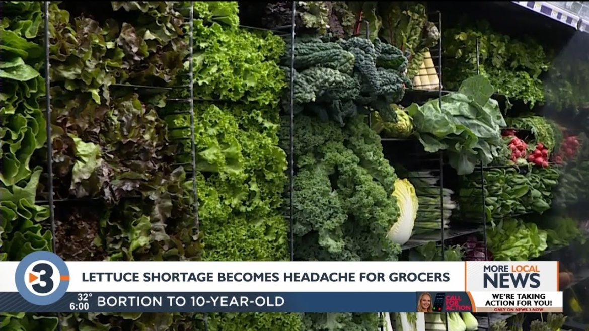 Lettuce shortage regarded as only the tip of the iceberg for supply chain shortages for grocery