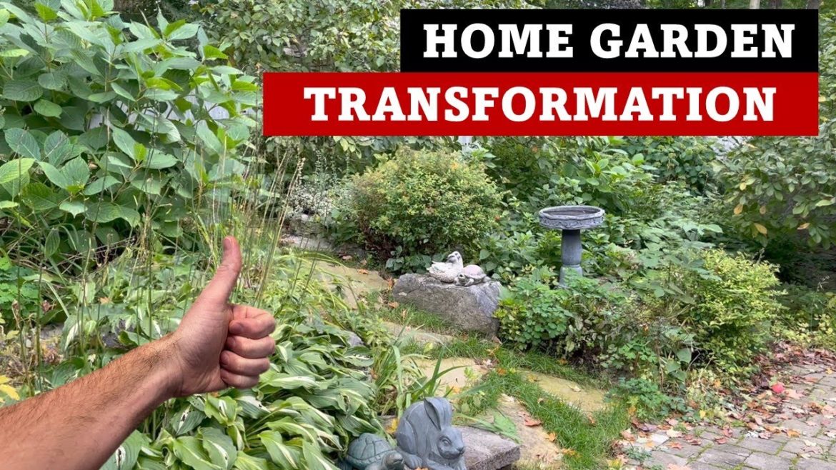 Overgrown Garden Gets Transformed – Fall Cutback Overgrown Garden Gets Transformed - Fall Cutback