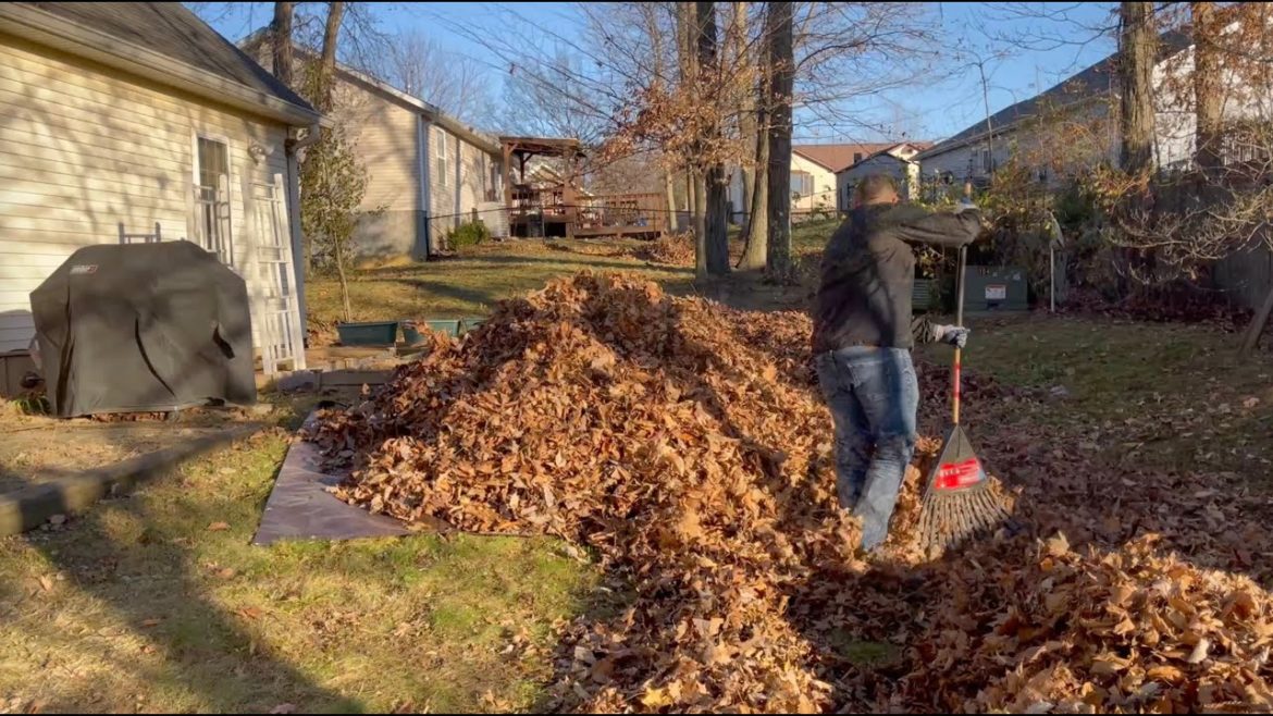 Free Fall Cleanup for My Neighbor – Satisfying ASMR Free Fall Cleanup for My Neighbor - Satisfying ASMR