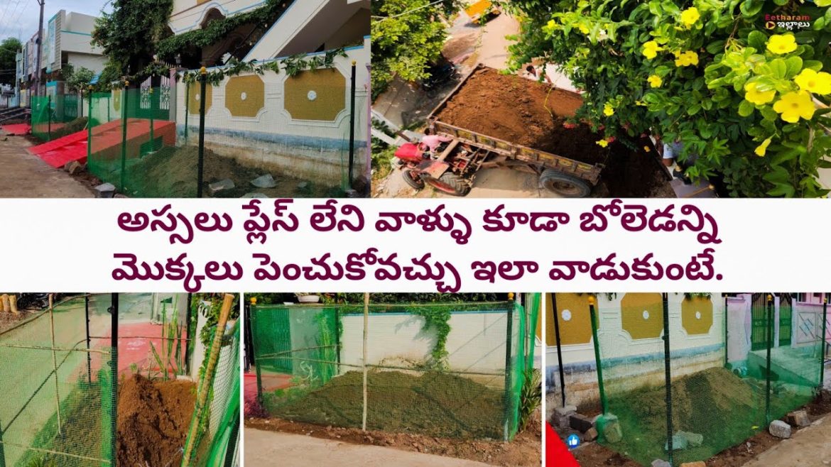 gardening ideas for home | garden ideas in telugu | front yard gardening ideas | diy garden ideas