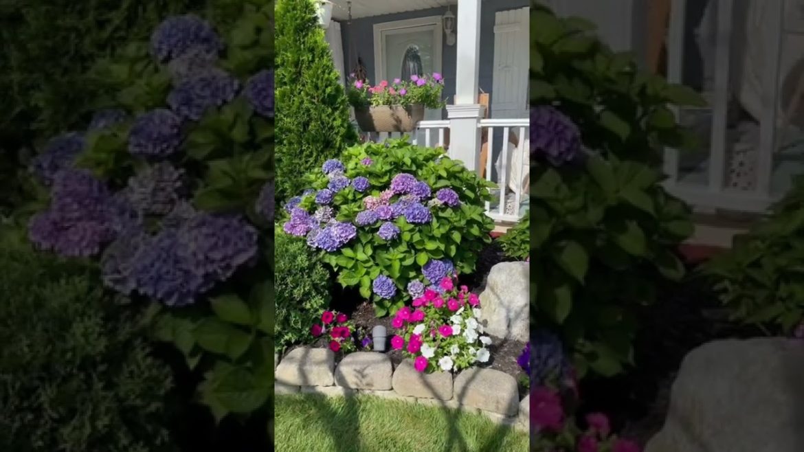 Garden design and decorations